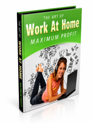 Work At Home Maximum Profits